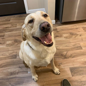 Meet your Posher, Naomi